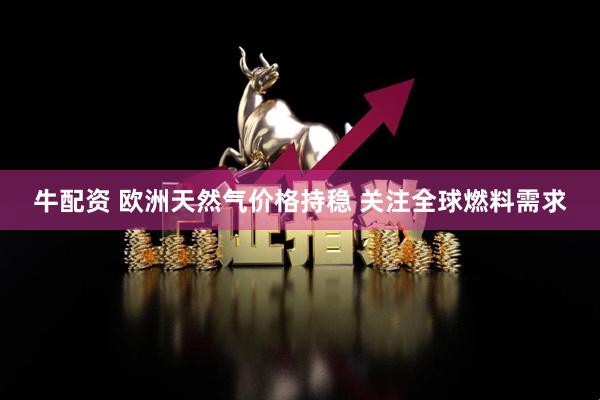 牛配资 欧洲天然气价格持稳 关注全球燃料需求