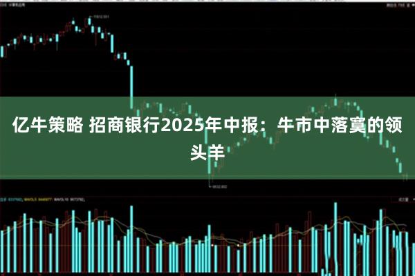 亿牛策略 招商银行2025年中报：牛市中落寞的领头羊